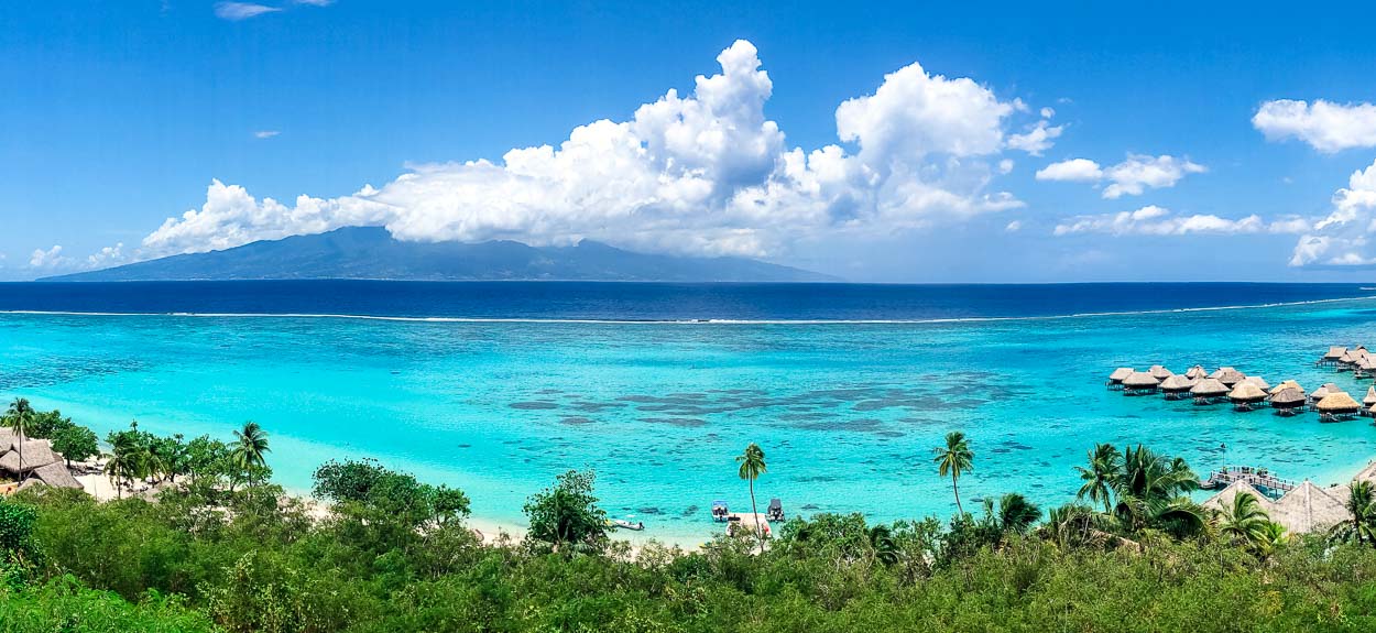 Paradise Islands Eyeshadow Palette - Supporting Te Mana O Te Moana Sea Turtle Care Center & Coral Gardeners Adopt-A-Coral