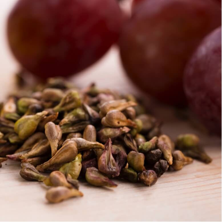 Nomad Makeup Products infused with Grape Seed Oil