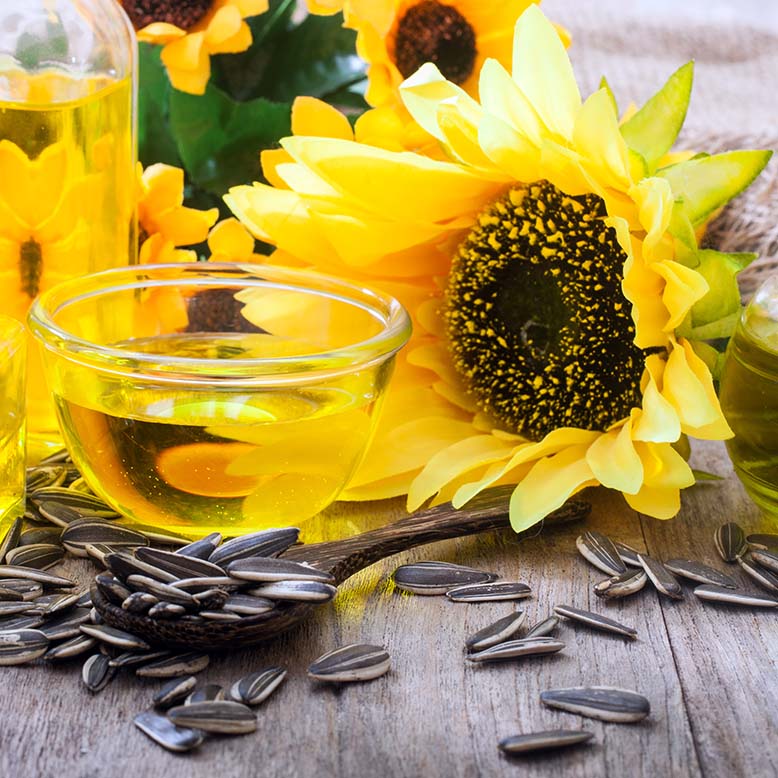 Nomad Makeup Products infused with Sunflower Seed Oil
