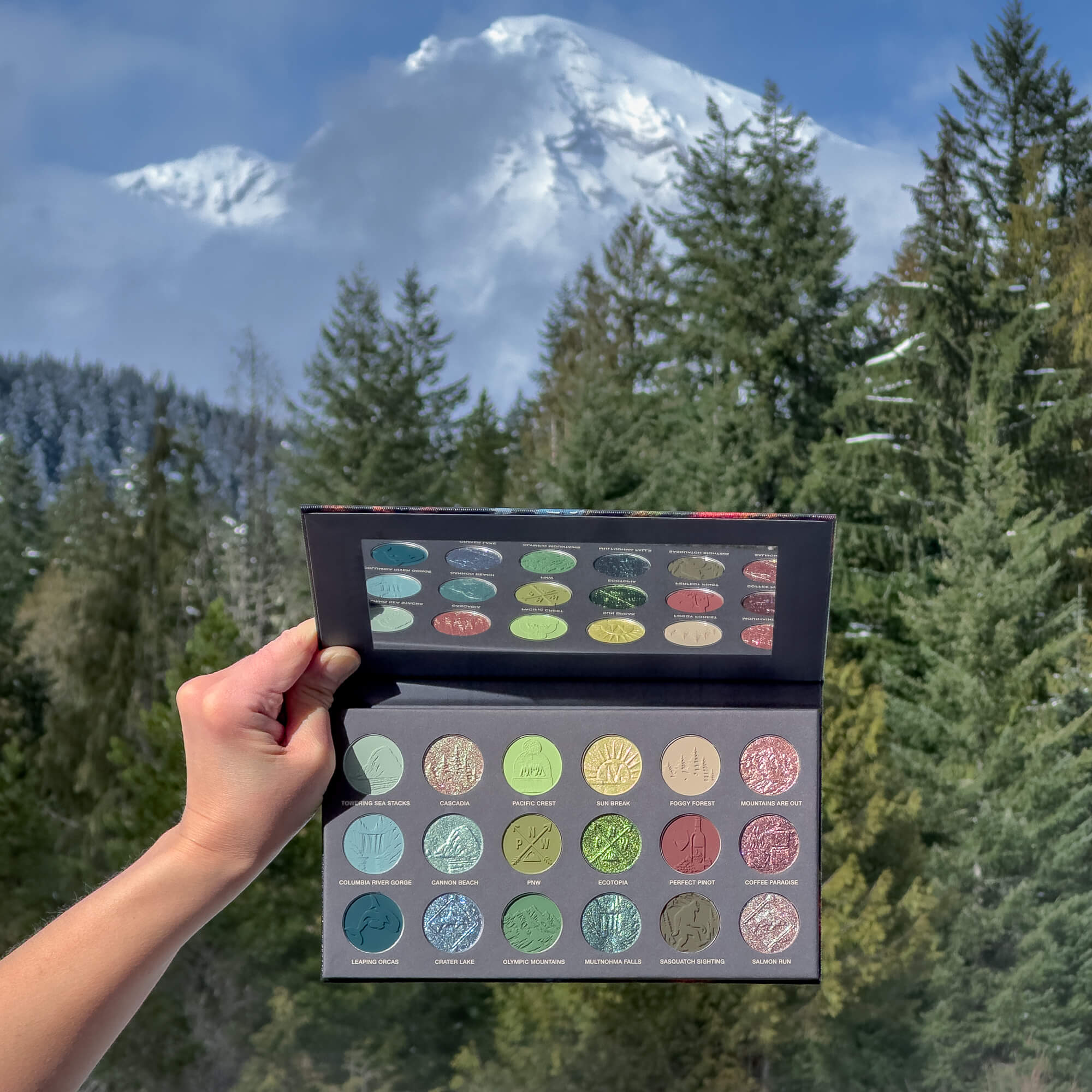 Pacific Northwest Intense Color & Chrome Palette