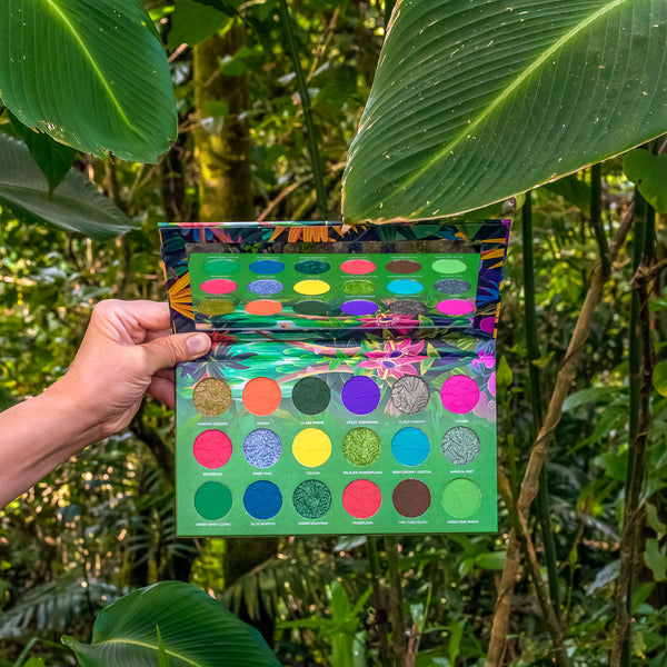 Monteverde Cloud Forest Intense Color Palette in Monteverde